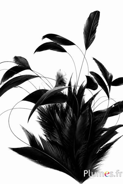 Gallo Body Split - 20-23 cm - nero